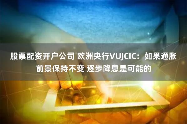股票配资开户公司 欧洲央行VUJCIC：如果通胀前景保持不变 逐步降息是可能的