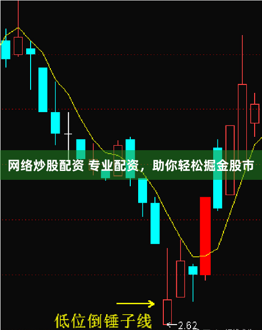 网络炒股配资 专业配资，助你轻松掘金股市